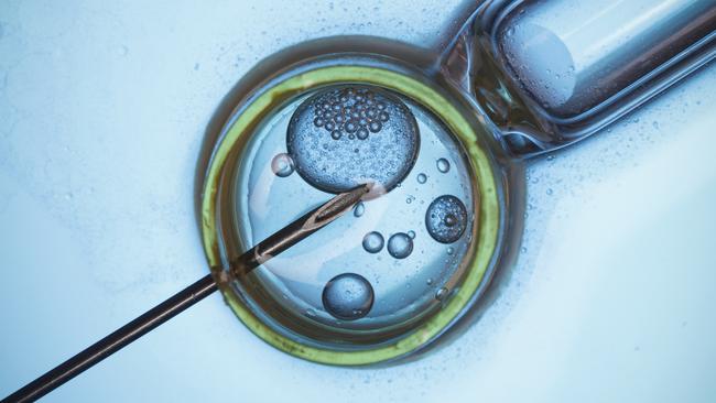 sperm-fertilising-egg