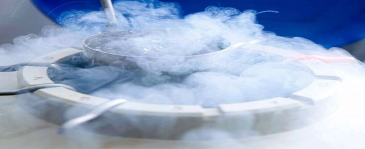 sperm-fertilising-egg