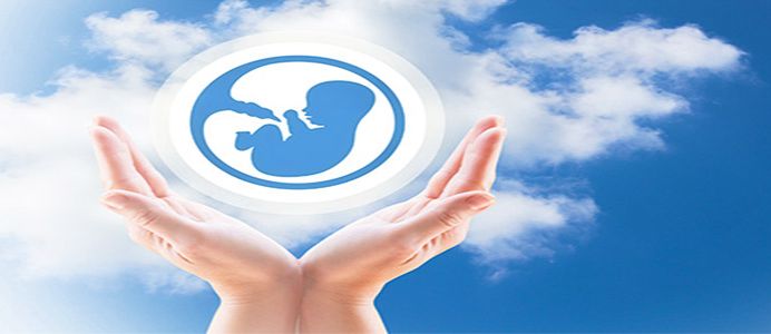 sperm-fertilising-egg