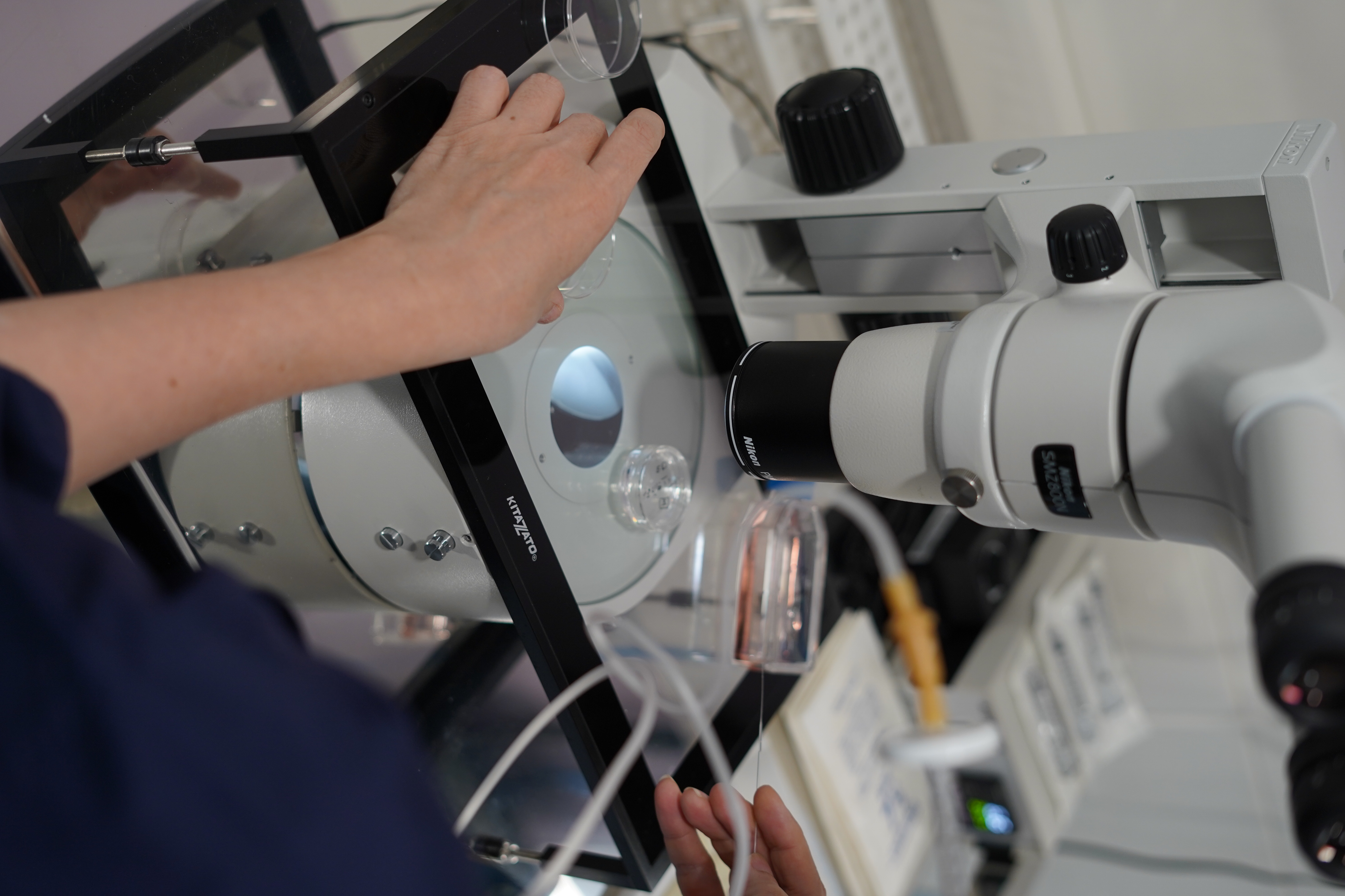 IVF و آزمایشگاه ها